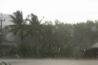 rain